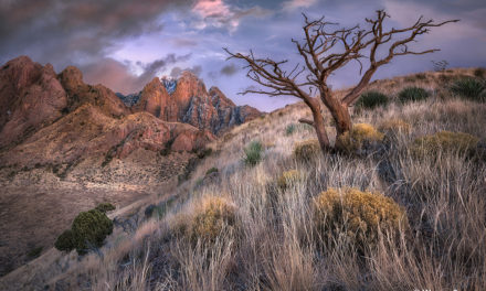 Organ Mountains-Desert Peaks National Monument