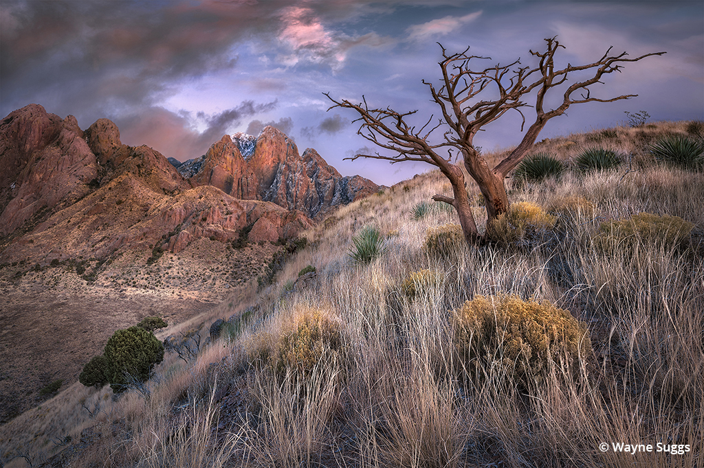 Landscape photo taken at Organ Mountains-Desert Peaks National Monument