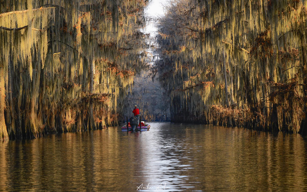 Photo Of The Day By Amber Ather