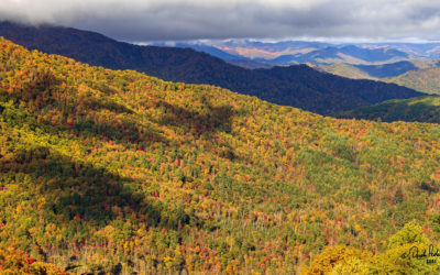 Photo Of The Day By Derek Peckenpaugh