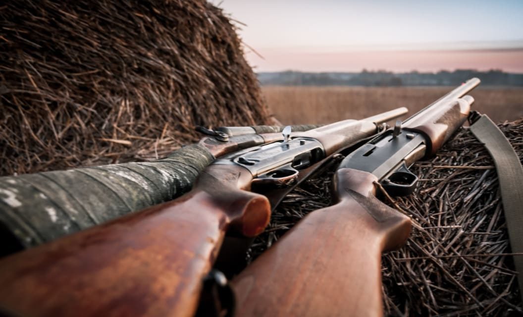 The 8 Most Versatile Hunting Shotguns of 2022