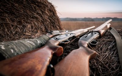 The 8 Most Versatile Hunting Shotguns of 2022