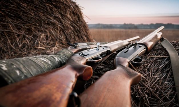 The 8 Most Versatile Hunting Shotguns of 2022