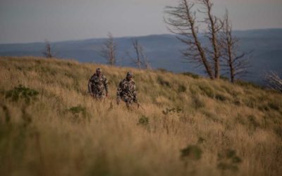 The Many Ways Sound is Affecting Your Hunt