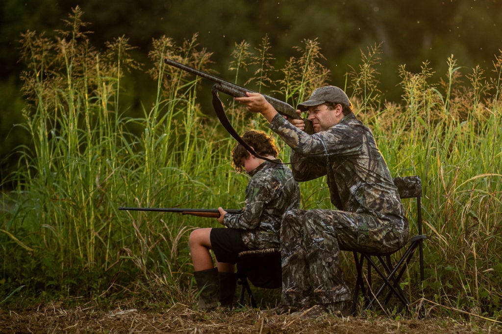 best states for dove hunting