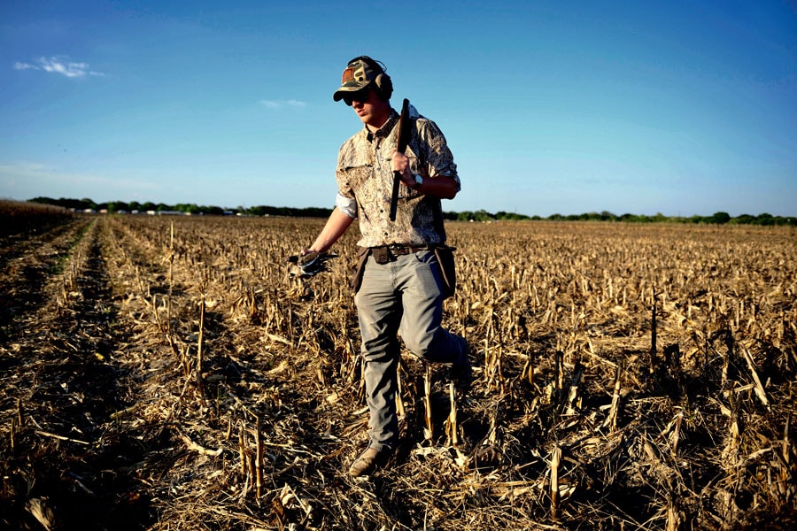 best states for dove hunting