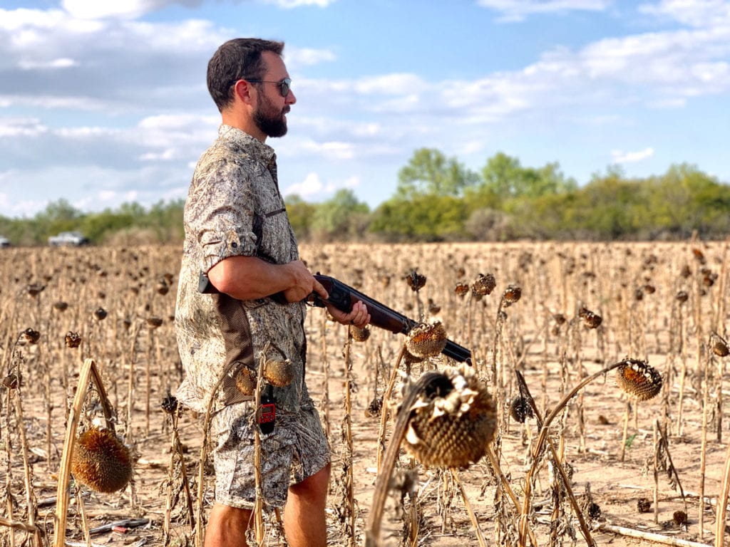 best states for dove hunting