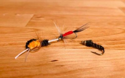 Top Flies to Tie for Beginners Who Are Just Starting Out