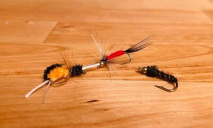 Top Flies to Tie for Beginners Who Are Just Starting Out