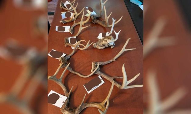 Westmoreland County Poaching Investigation Discovers Over 35 Violations