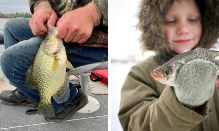 White Crappie vs. Black Crappie: What’s the Difference?