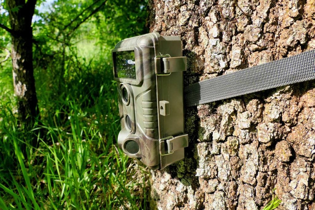 A trail camera hangs on a tree in the woods