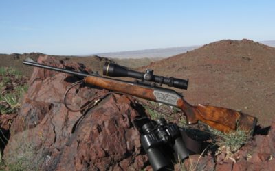Why the .243 is the Best Deer Caliber of All Time