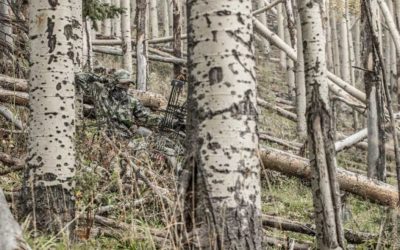 Yes, You Can Spot and Stalk Whitetail Deer: 5 Tips for Making it Happen