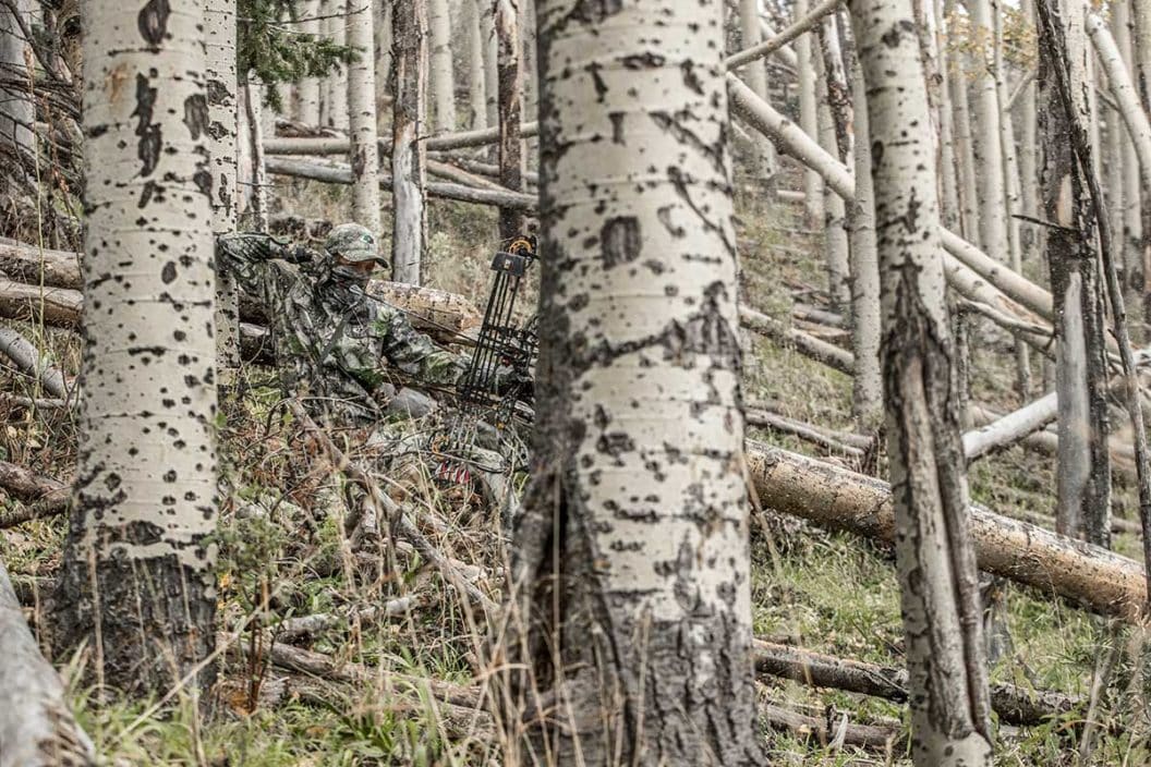 A bowhunter draws back in the woods while hunting