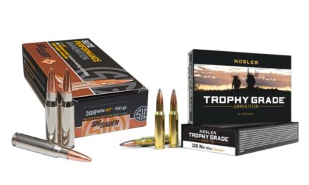 .308 Ammo: 8 Top Choices For Hunting This Fall