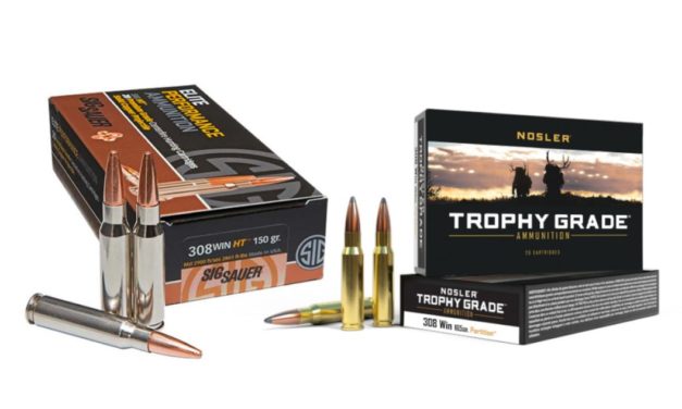 .308 Ammo: 8 Top Choices For Hunting This Fall