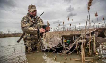 4 Best States for Duck Hunting on Public Land