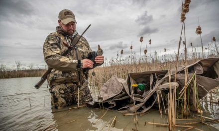 4 Best States for Duck Hunting on Public Land