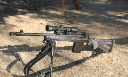 5 Classic Deer Rifles That Have Proven Timeless