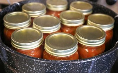 5 of Today’s Canning and Dehydrating Items That Grandma Would Kill For