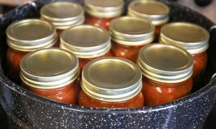5 of Today’s Canning and Dehydrating Items That Grandma Would Kill For