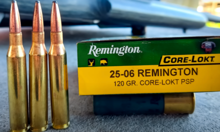 5 Solid Rifles for the (Overlooked) 25-06 Remington