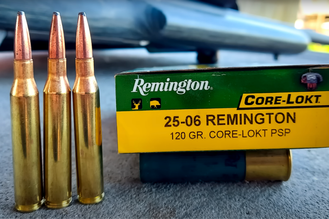 25-06 Remington