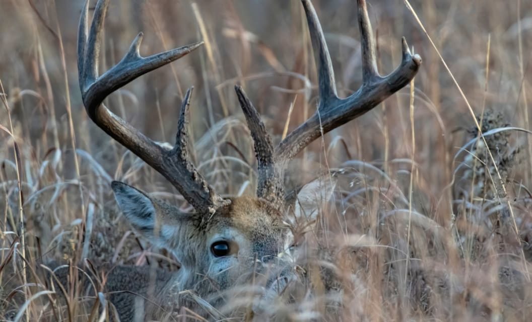 7 Hunting Facts That Keep Us Awake at Night