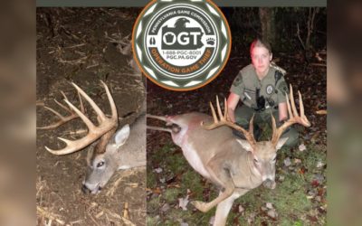 Authorities Seeking Leads on Pennsylvania 12-Point Deer Poached and Left to Rot