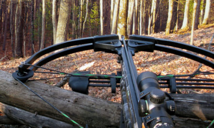 Best Shot Placements While Hunting With a Crossbow