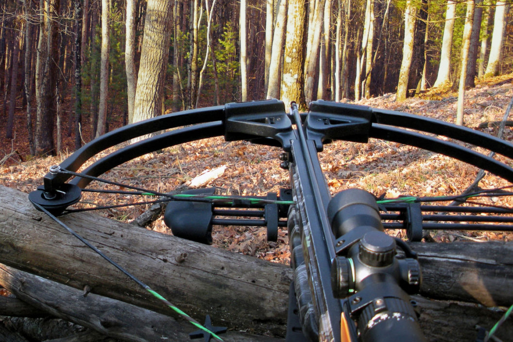 where to shoot deer with crossbow