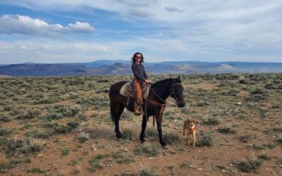 Gear You Need for a Horseback Pack-In Camping Trip