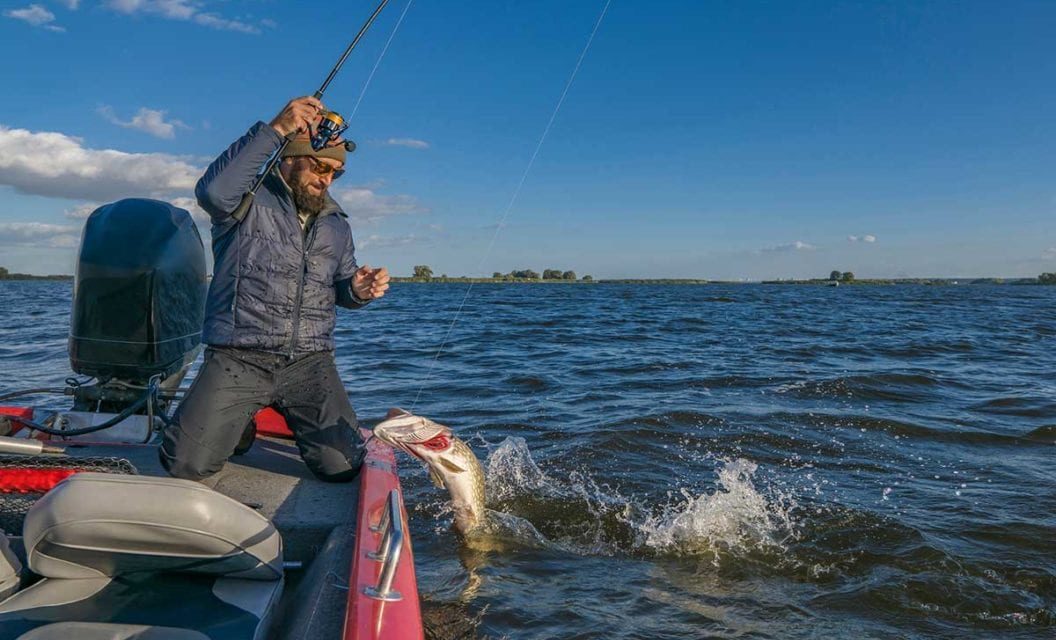 Here’s Why Northern Pike are Such Jerks