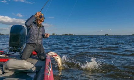 Here’s Why Northern Pike are Such Jerks