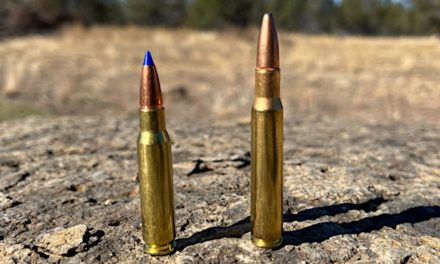 How to Decide Between a .30-06 and .308