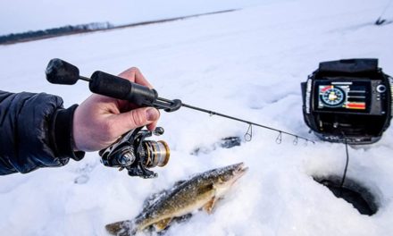 Ice Fishing Rods: 10 Top Picks That Will Help You Catch Your Limit