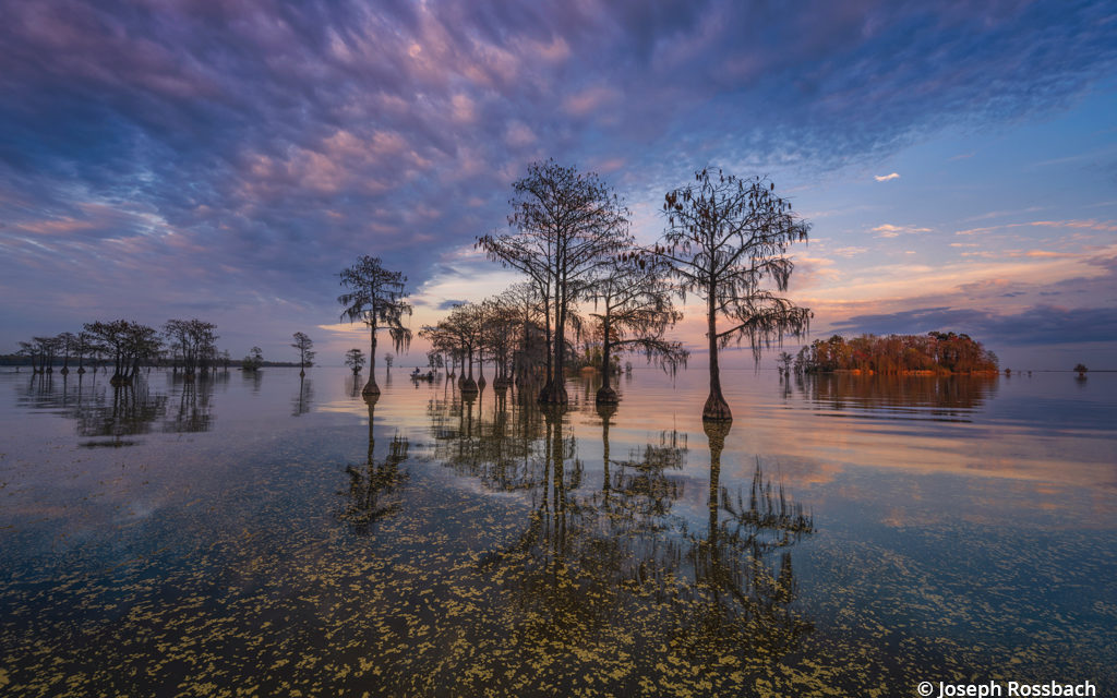 Lake Moultrie