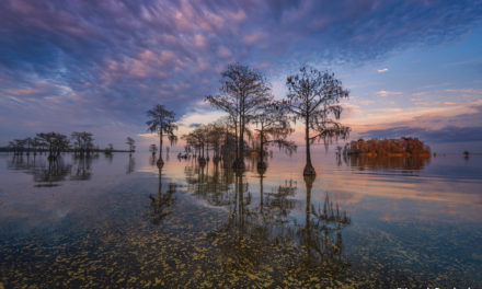 Lake Moultrie