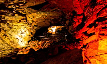 Mammoth Cave Explorers Confirm 6 More Miles of Passages Mapped