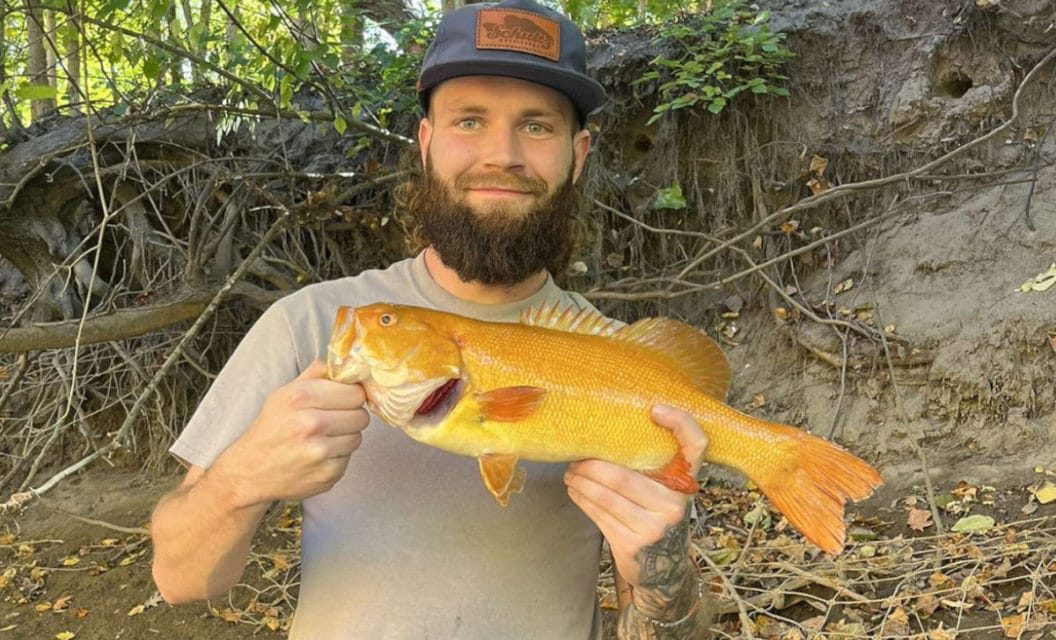 Michigan Angler Reels in Rare Golden Smallmouth Bass