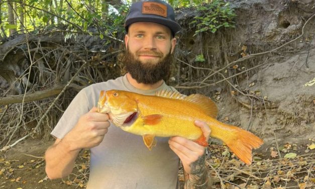 Michigan Angler Reels in Rare Golden Smallmouth Bass