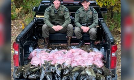 Michigan DNR Seizes 460 Pounds of Poached Salmon, Poachers Facing Heavy Fines