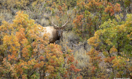 Photos Of The Day For September 2022