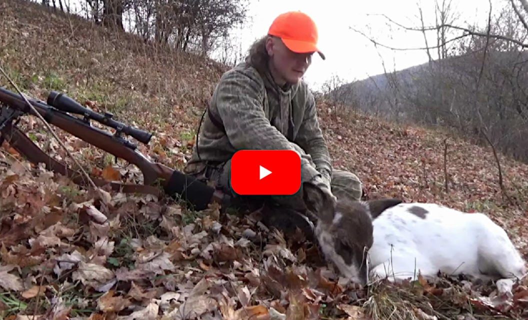Rare Piebald Doe Gives Hunter Perfect Shot Opportunity