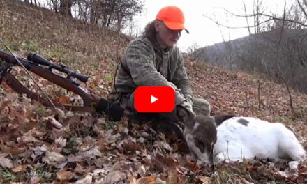 Rare Piebald Doe Gives Hunter Perfect Shot Opportunity