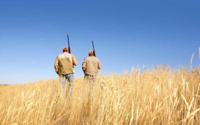 Recognizing the Upland Bird Hunting in California