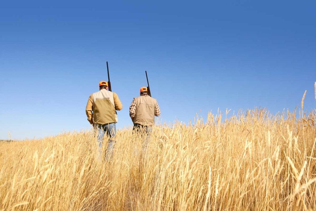 Two hunters with shotguns stand in a field