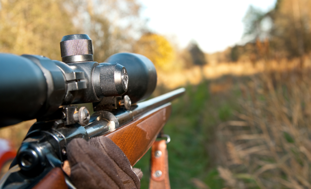 Save Up for These 5 Expensive (But Awesome) Rifle Scopes