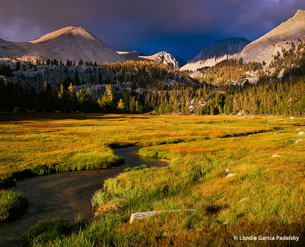 Crabtree Meadow, Sequoia National Park